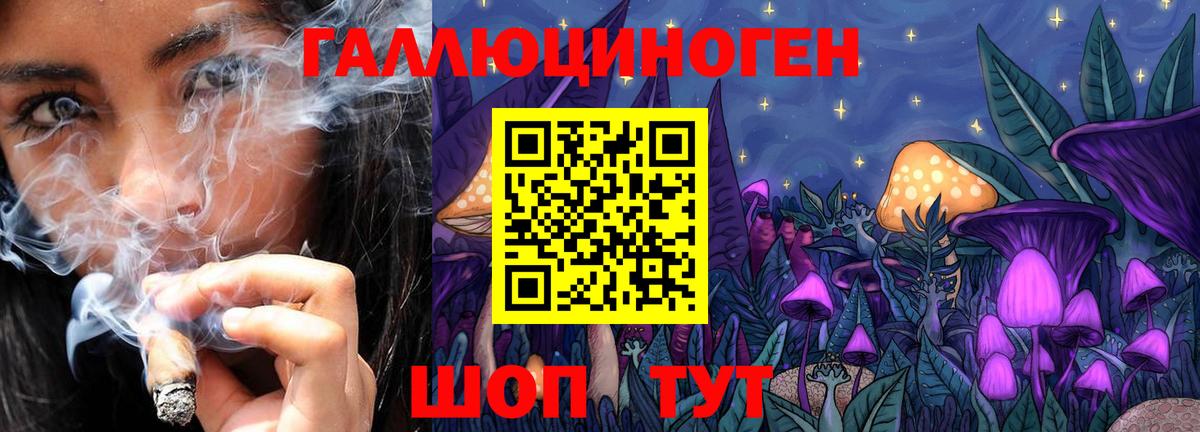 Галлюциногенные грибы MAGIC MUSHROOMS Отрадный